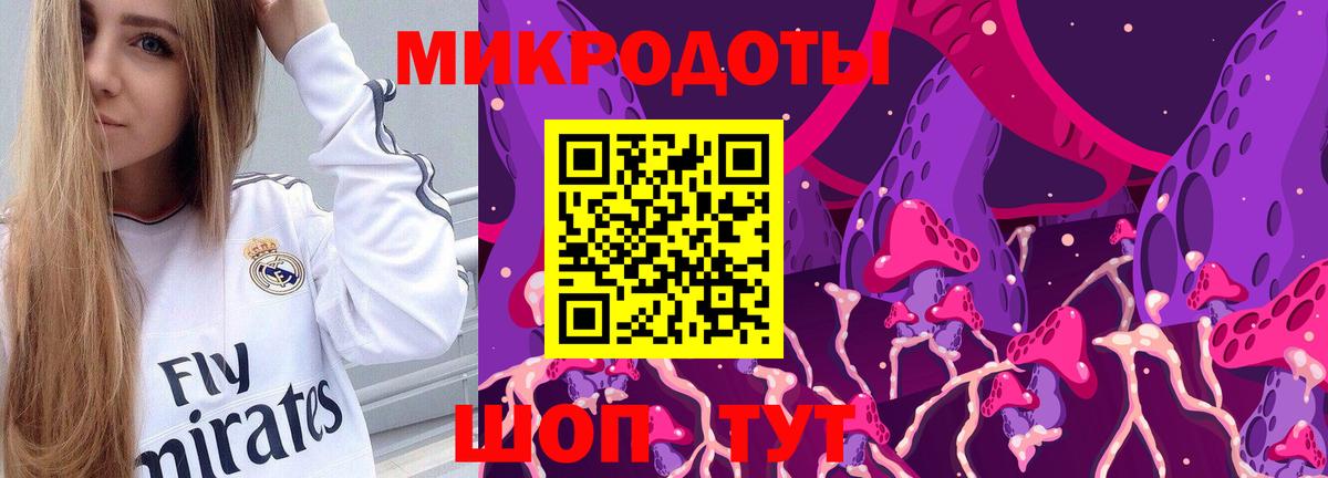 Галлюциногенные грибы Psilocybe  Вход с VPN  Воркута 